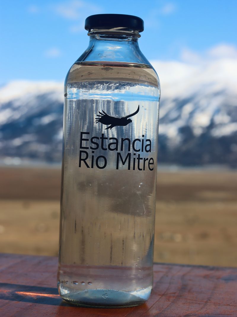 Botella con el logo de Estancia Rio Mitre frente a la cordillera.